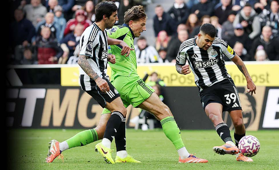Toon's home Bru