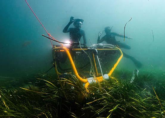 Harvesting 'hope' for next generation