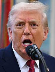 Trump bomb blitz kills 'numerous' IS terrorists in Syria