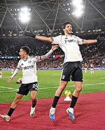 RAUL MEX MERRY FOR COTTAGERS