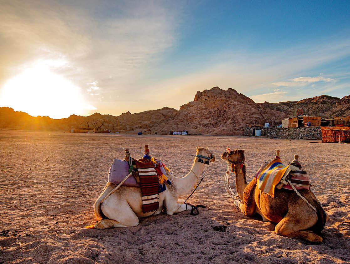 Over the dune to find Egypt's real paradise