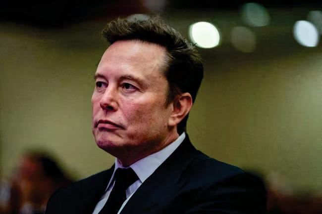 Musk tells Germans to vote for 'reasonable' AfD leader