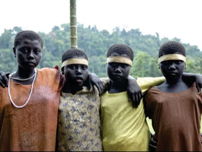 Voter IDs for reclusive tribe 'publicity stunt', say experts.