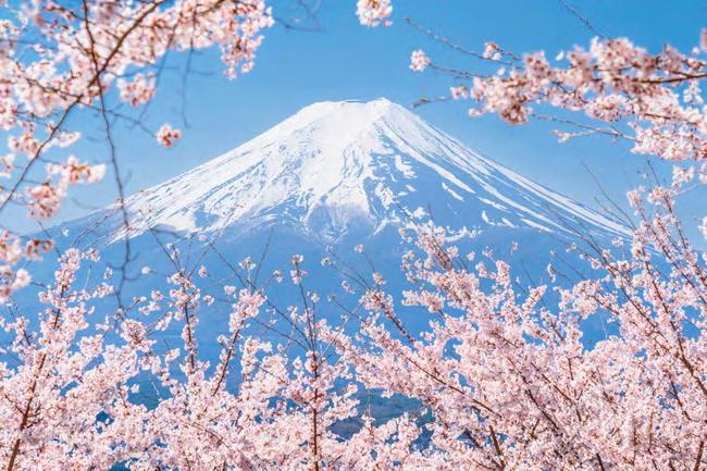 How can we get the most out of a 10-day Japan trip?