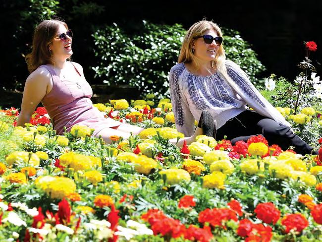 Hotter than Madrid: UK set for a balmy 16C next week