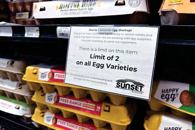 First he came for Greenland now Trump wants Danish eggs as avian flu hits the US