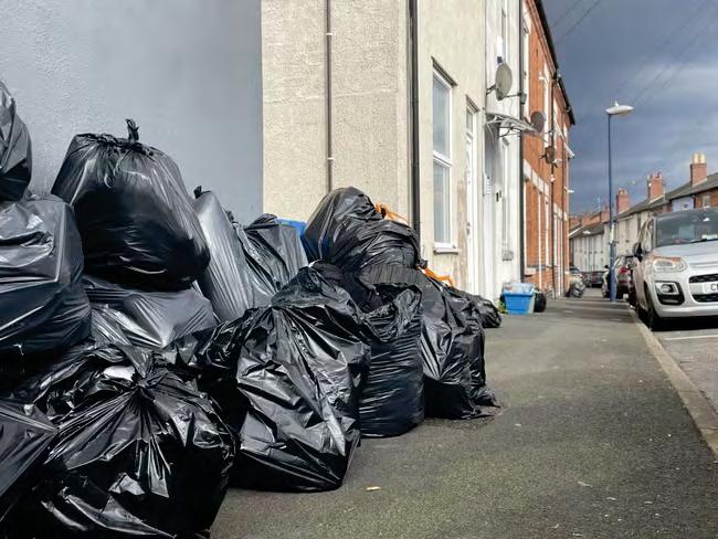 Bin strike health hazard as rats ‘feast' on rotting trash