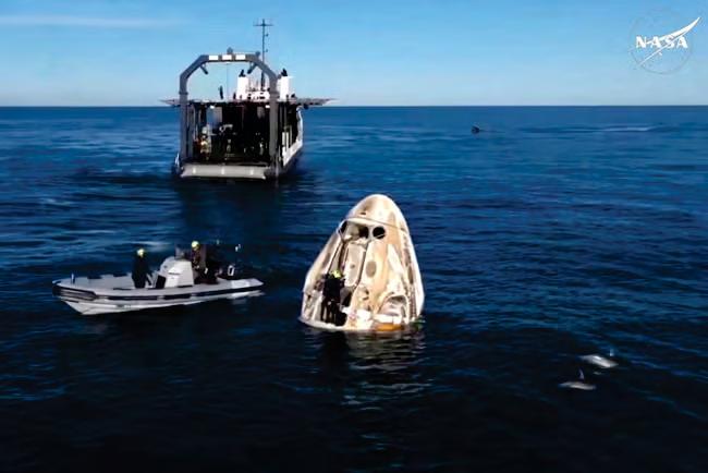 Splash down: dolphins greet returning Nasa astronauts