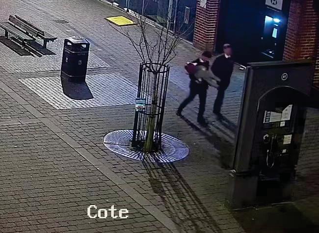 ‘Antithesis of everything Paddington stands for’:judge scolds statue vandals