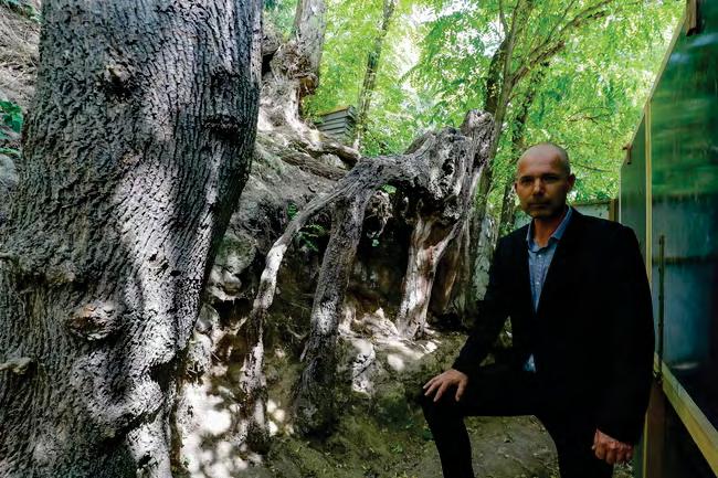 Mayor loses bid to snatch scene of last Van Gogh work