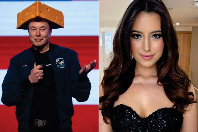 Musk's survival blueprint: to make more genius-level babies and colonise Mars