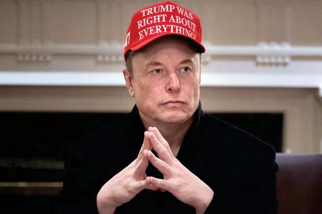 Musk set to step back from Doge after Tesla profits sink