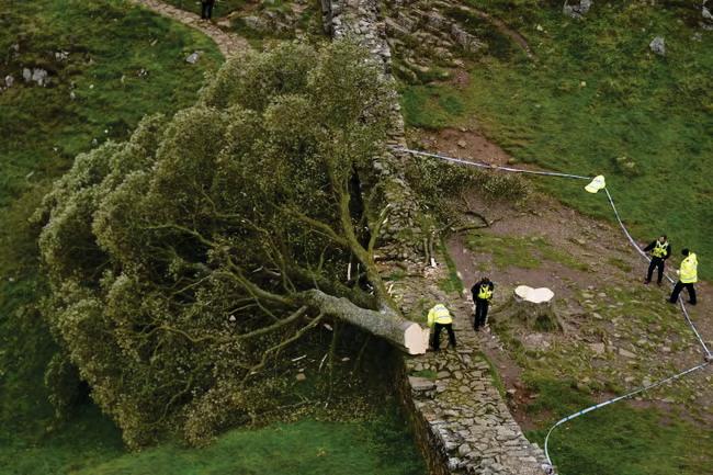 Sycamore Gap mystery endures as duo face trial