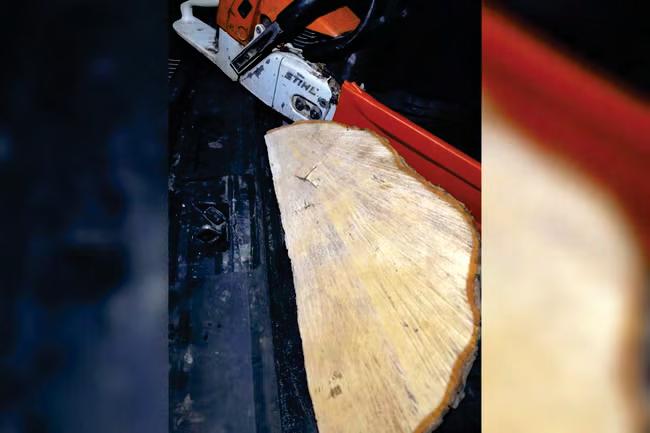 Sycamore Gap tree suspect claims he was fixed up’