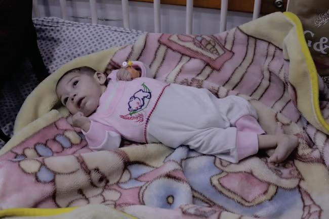 Starvation and death loom as famine grips Gaza Strip