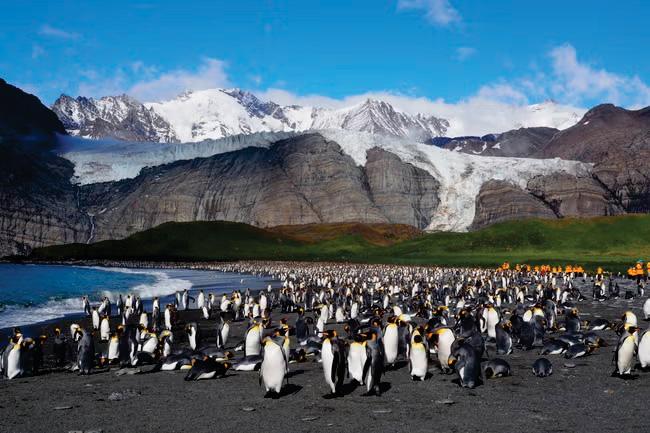 The greatest island on Earth for seeing wildlife up close