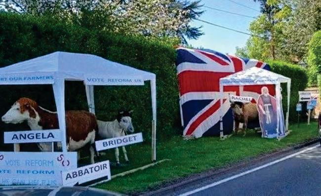 'Horrifically misogynistic': Reform cow stunt criticised