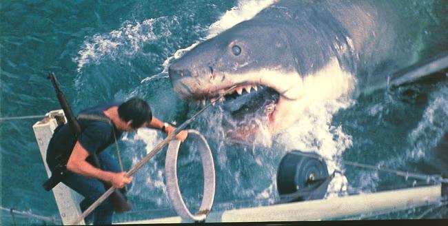 SHARKS BITE BACK