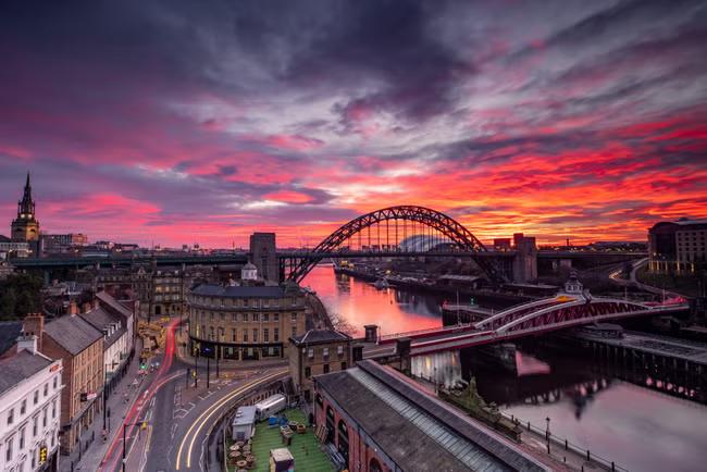 TALK OF THE TOON