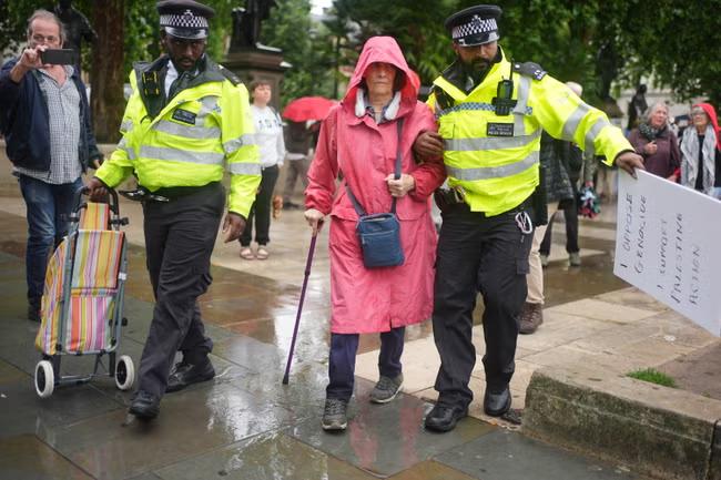 Dozens arrested at protests over Palestine Action ban
