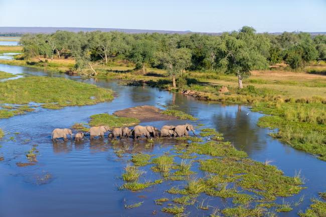 Out of Africa: the fight to protect wildlife as Trump's foreign aid cuts start to bite