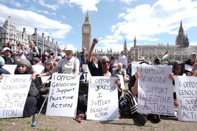 Hundreds arrested during Palestine Action protest
