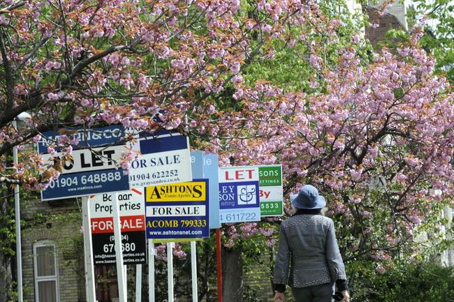 Reeves considers property tax to replace stamp duty