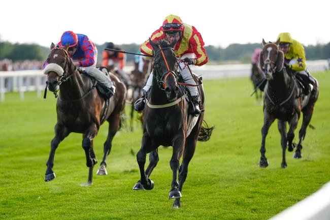 Increased betting tax could prove to be a hurdle too far