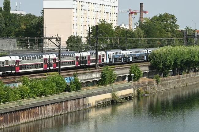 Man held after four bodies pulled from the River Seine