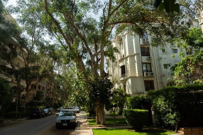GO BOHO IN CAIRO