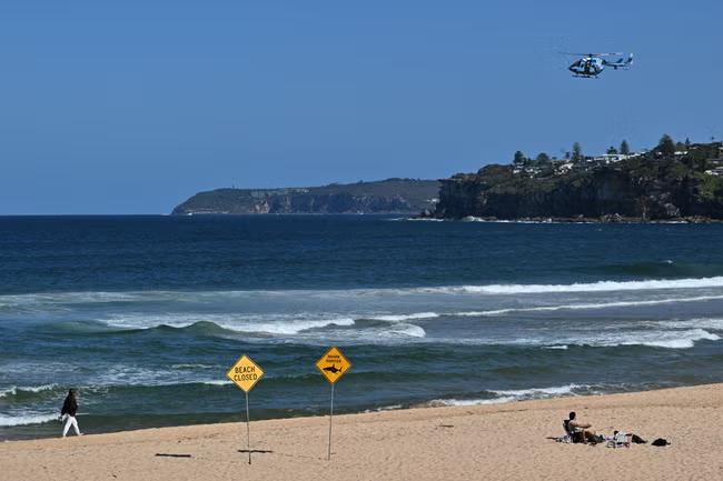 Surfer killed in rare shark attack on Sydney beach