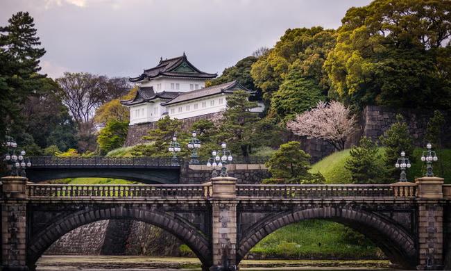 Where should I go in Tokyo before my Japanese cruise?