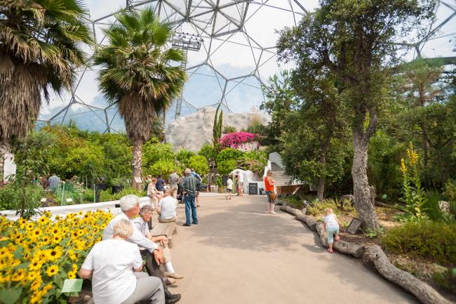 Fears for Eden Project as visitor numbers plummet