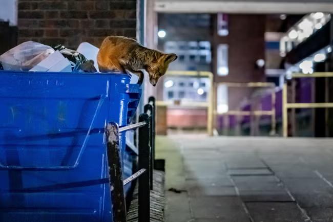 Food waste is the climate crisis no one wants to stop