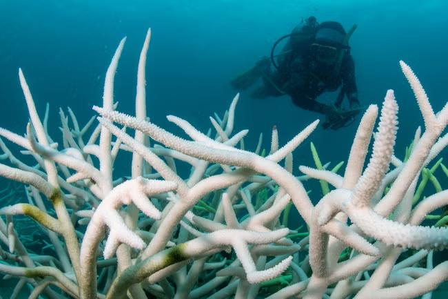 Earth has reached climate ‘tipping point’, says report