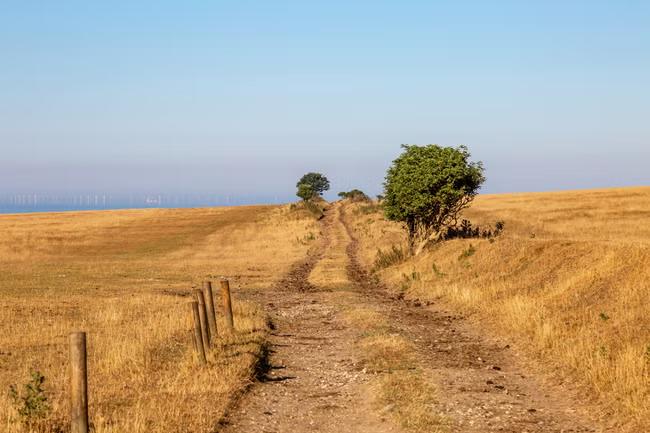 ‘This is what farming with climate change looks like’