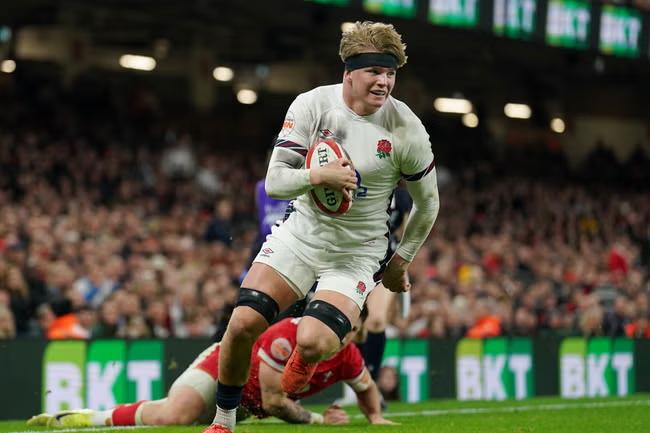 Shooting stars by the dozen to look out for in November