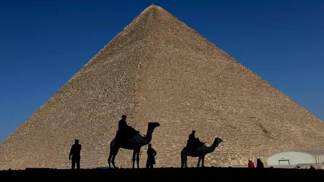 Animals ferrying tourists in Egypt abused and left to die