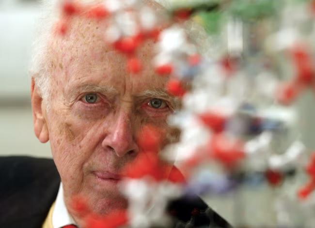 Double-helix co-discoverer James Watson dies aged 97