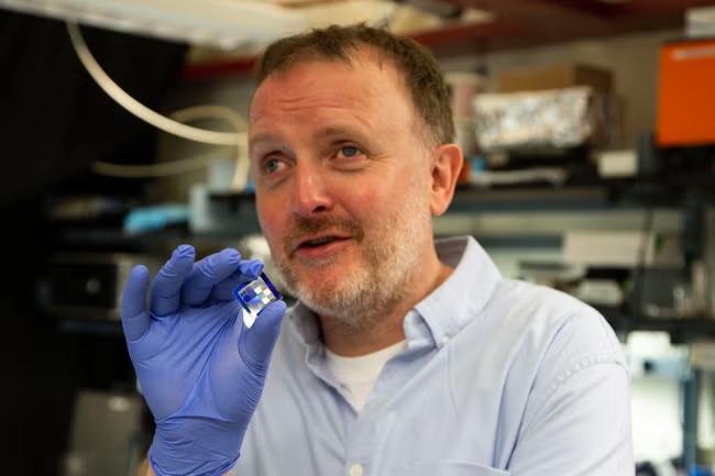 Blindness documentary is a challenge to all AI sceptics