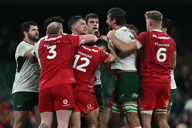 Etzebeth eye gouge mars Boks' record win over Wales