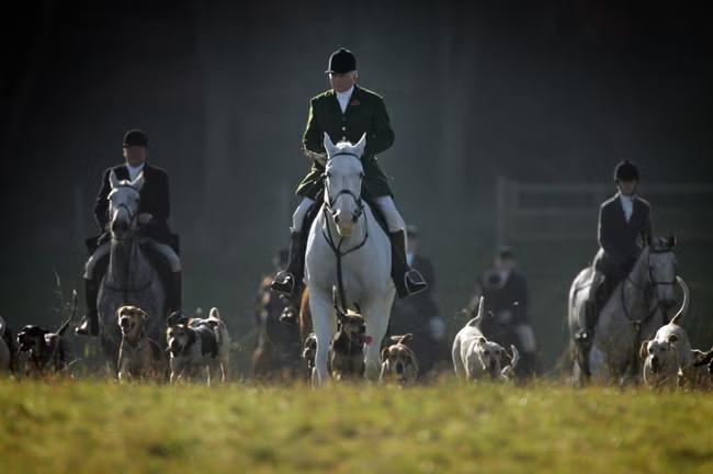Why is Labour banning trail hunting after all this time?