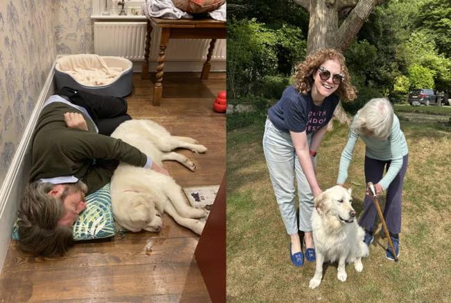 Yes, a dog is for life, but both my pets arrived at Christmas