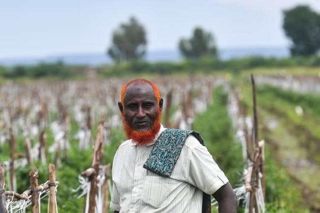 We never know if the rainy season will help, or if it is going to destroy everything'