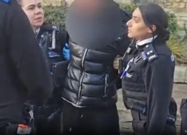 Arrest for feeding pigeons condemned as 'ridiculous'