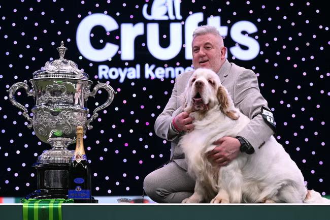 Crufts champion's historic charge for animal cruelty
