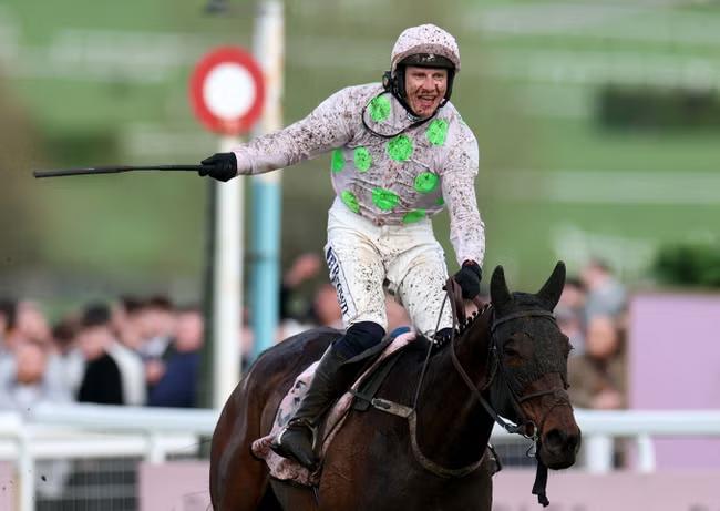 Gold Cup path to greatness opens up for Gaelic Warrior