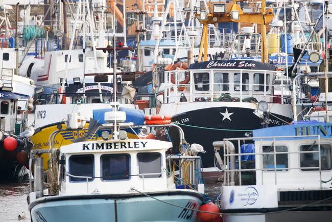 Brexit has 'cut trade in all sectors of UK economy'