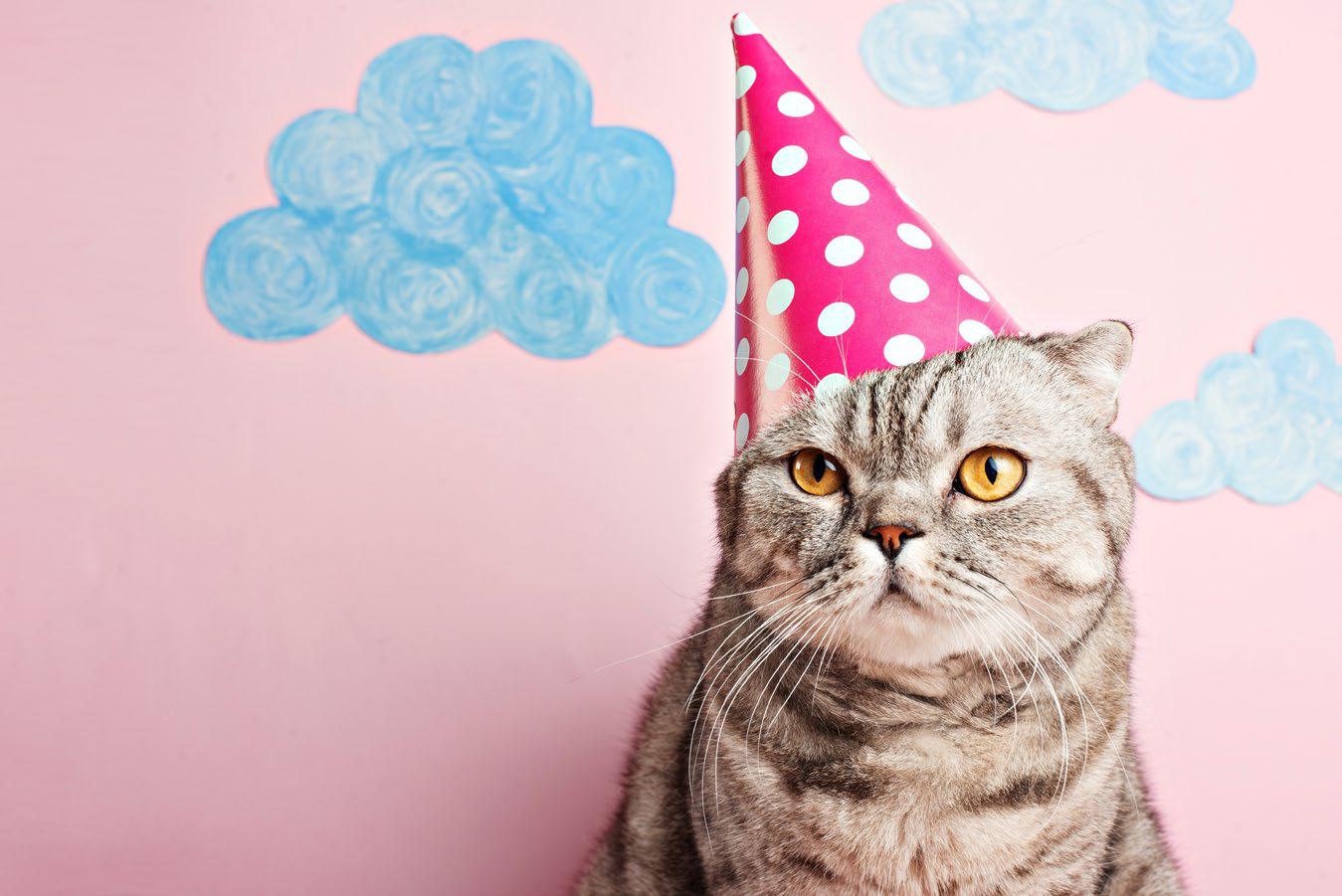 How the AI boom and dark data are eating up our energy supply