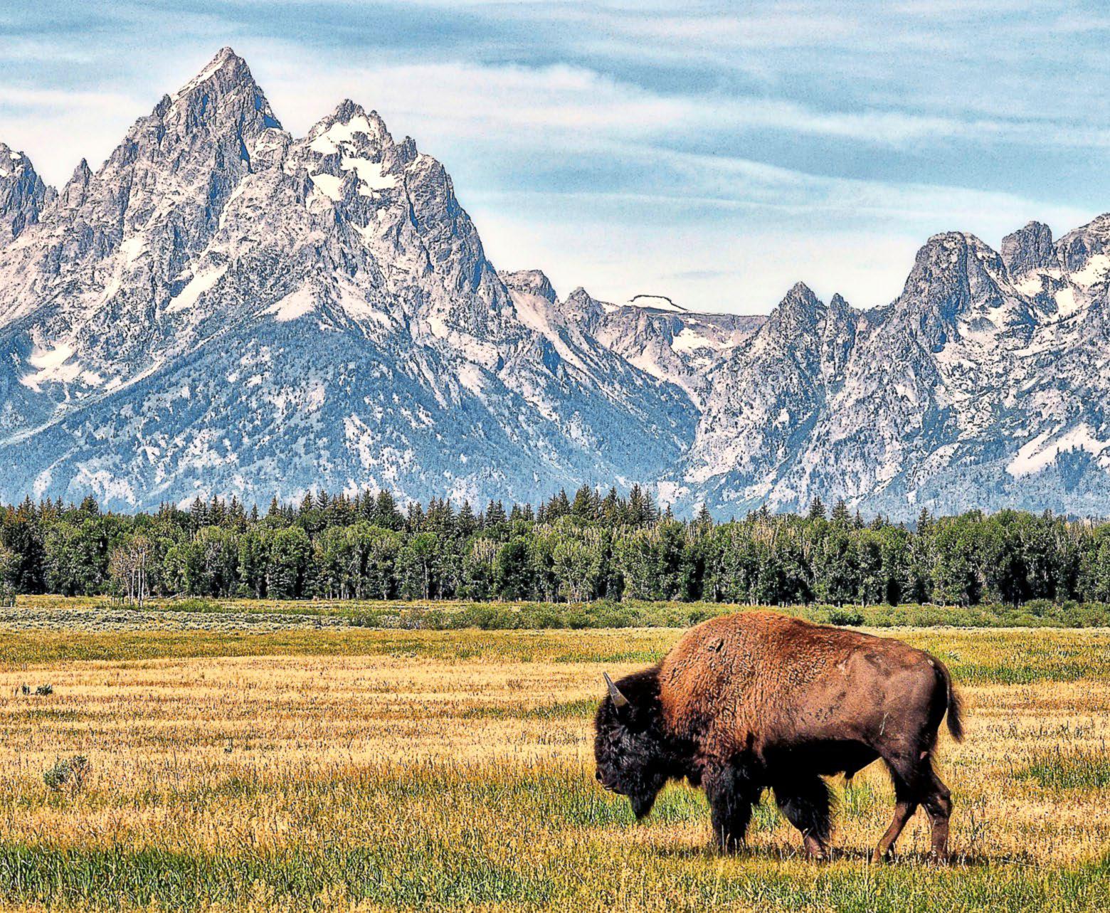 Lee Child on the enduring thrill of Wyoming—the true Wild West